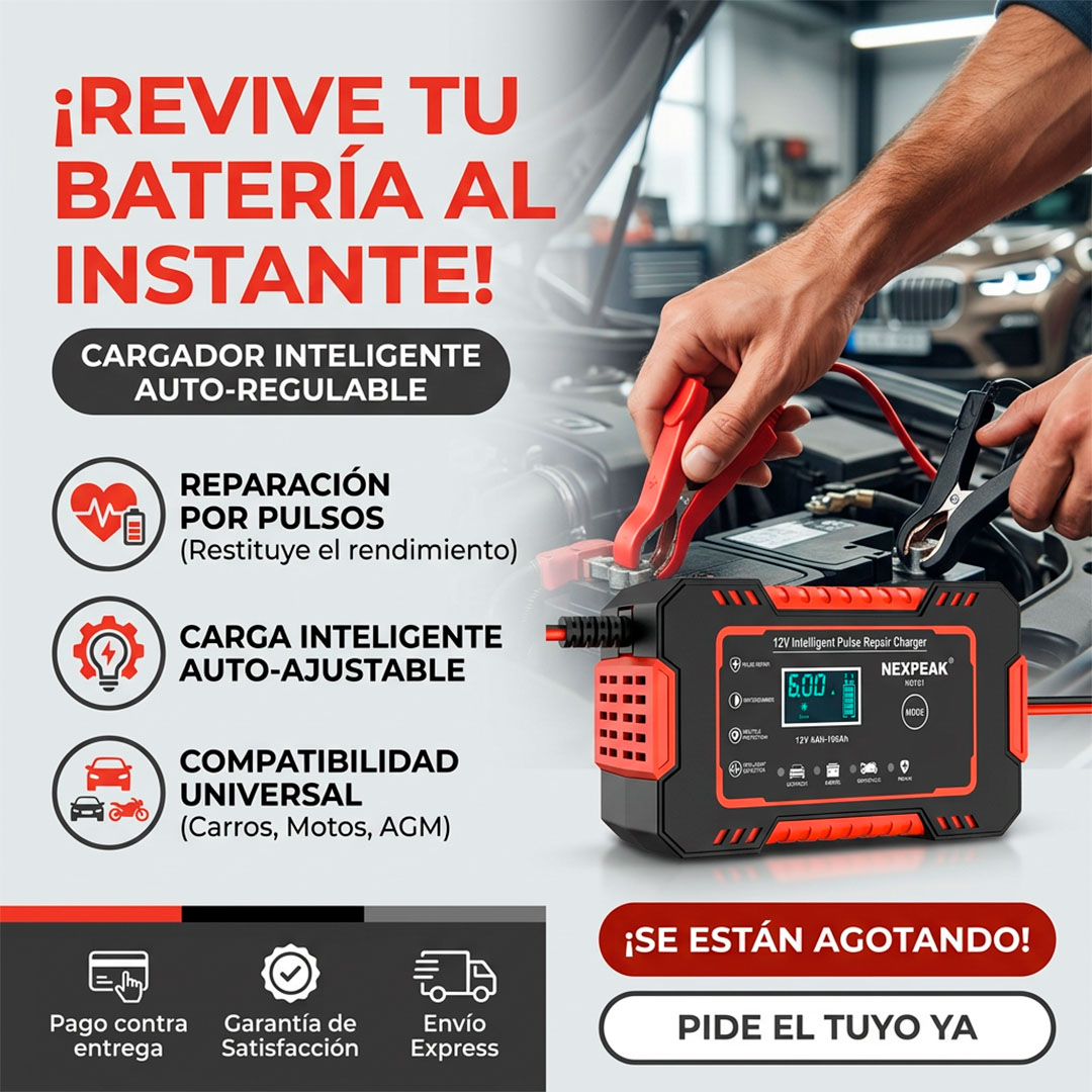 Cargador de bateria para vehiculos